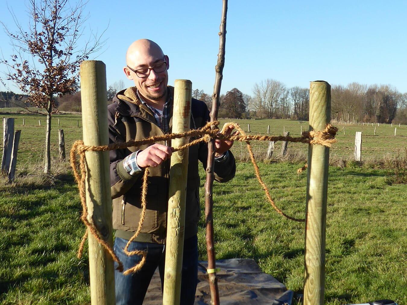 Vieles ist bei der Pflanzung zu beachten – hier demonstriert Stefan Wallney eine fachgerechte Anbindung des Jungbaums.Foto: B. Haffmans