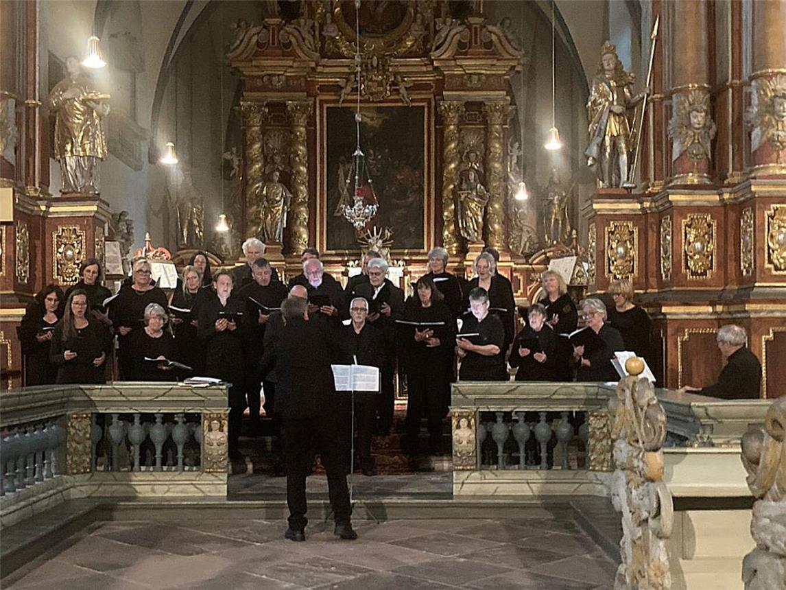 Vier- bis achtstimmige Chorwerke präsentiert der Kammerchor Rheinland „Cantare et Sonare“ am 6. April in der Christuskirche in Emmerich. Foto: privat