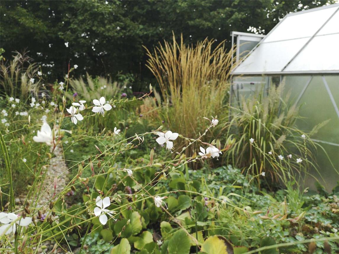 Von Hortensienführungen bis Gartenkunst: Die offenen Gärten halten vieles für Interessierte bereit. Foto: gARTen Atelier Peters