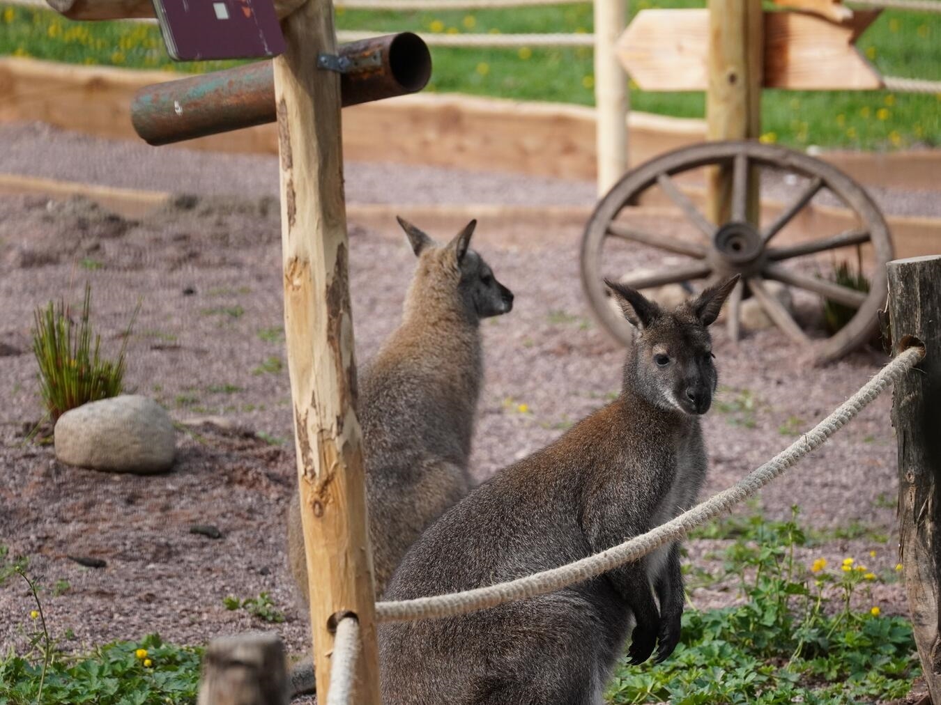 Willkommen in Down Under!