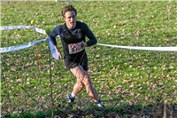 Weeze, Crosslauf - Hauptlauf startete um 14:35 Uhr