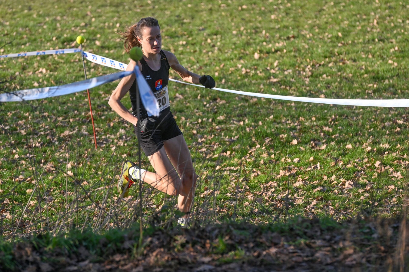 Weeze, Crosslauf - Hauptlauf startete um 14:35 Uhr