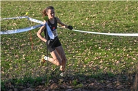 Weeze, Crosslauf - Hauptlauf startete um 14:35 Uhr