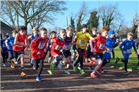 Weeze, Crosslauf - Schüler starteten um 13:50 Uhr