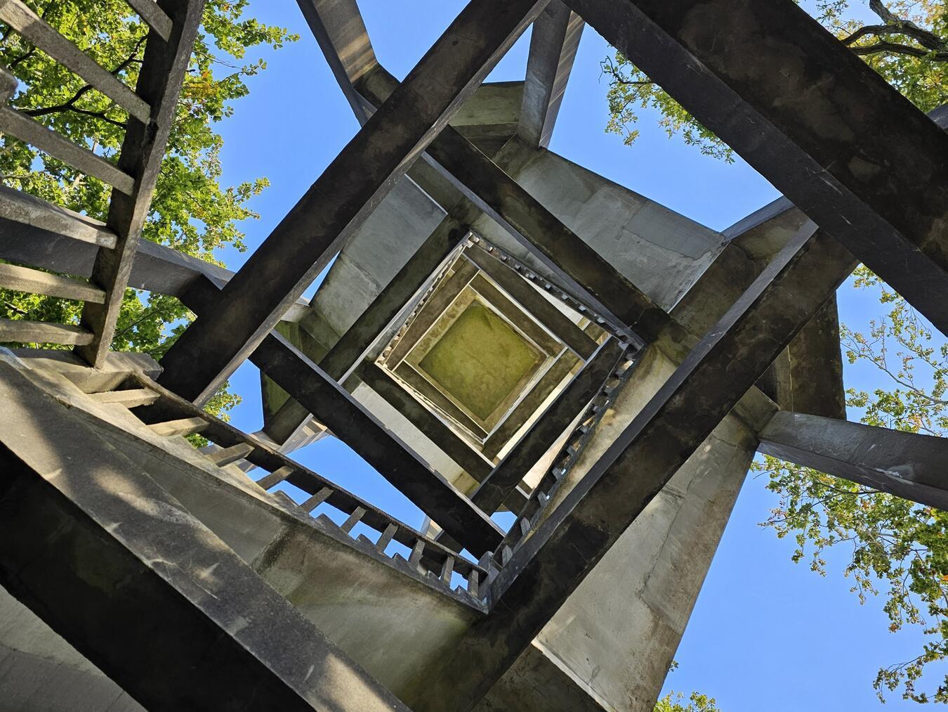 Wer den Belvédère-Turm erklimmt, wird mit einer besonderen Aussicht auf Oranjewoud belohnt. 