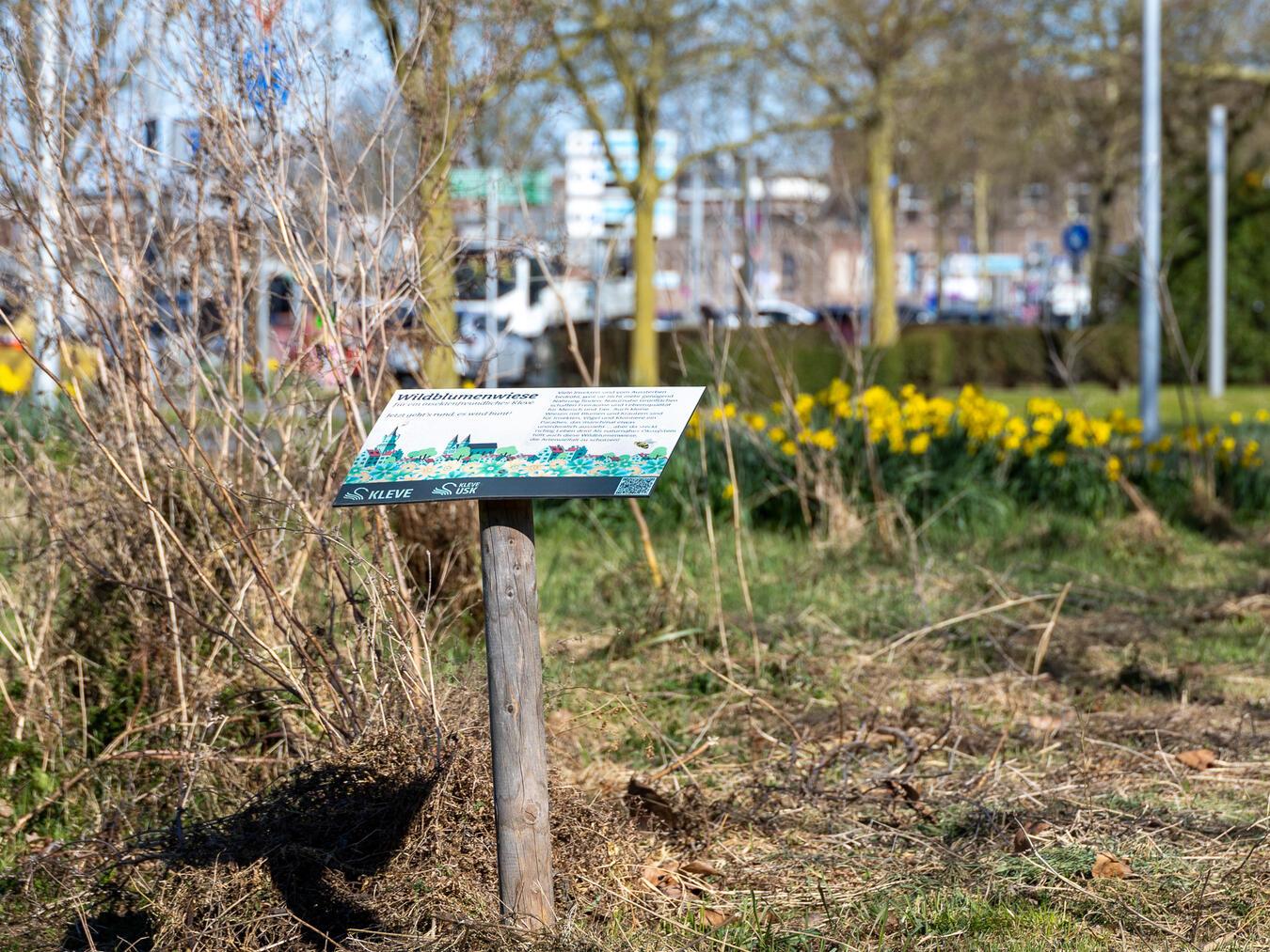 Wie und wann eine Blumenwiese gemäht wird, ist individuell von den dort vorhandenen Pflanzenarten abhängig. Foto: Stadt Kleve