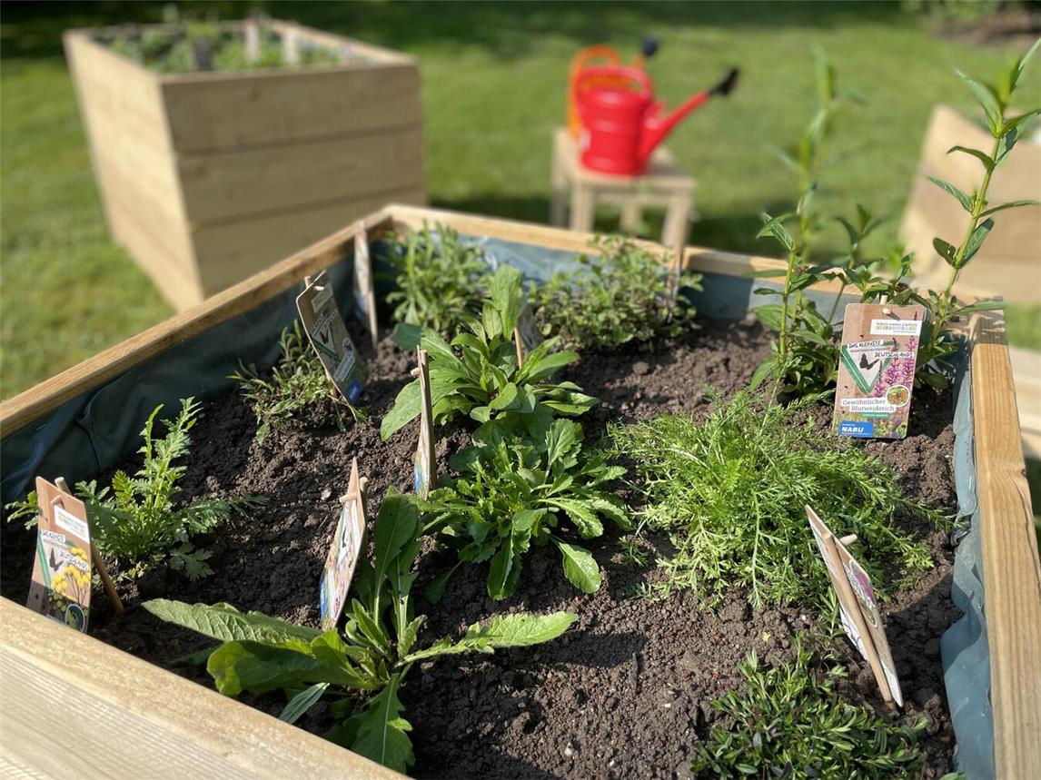 Wildkräuter werden vorgestellt, Erkennungsmerkmale erläutert und Verwendungsmöglichkeiten besprochen. Foto: Stiftung Museum Schloss Moyland