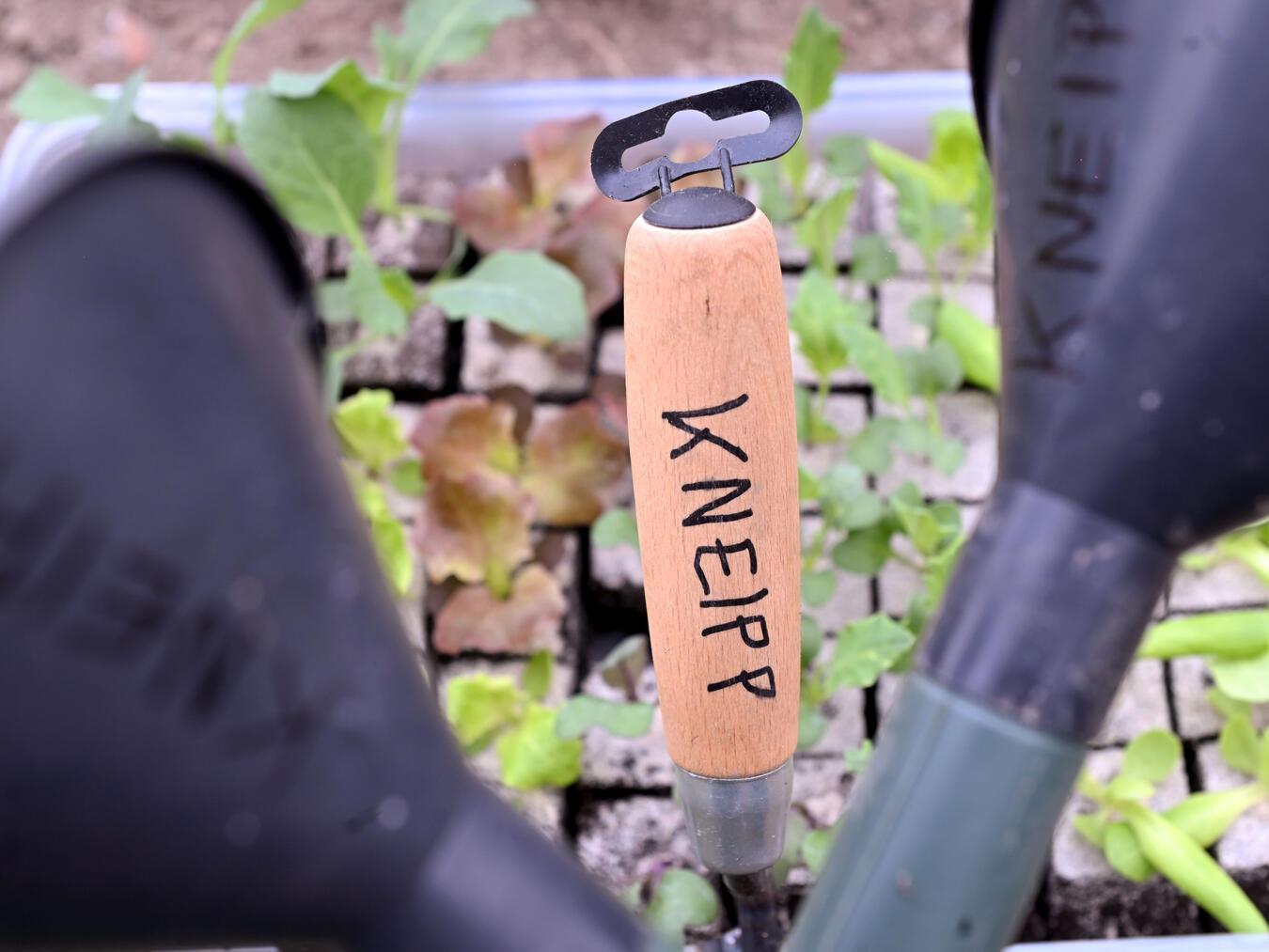 Wissenswertes zur ersten Pflanzung gibt es am 10. April in Wetten. Foto: Norbert Prümen