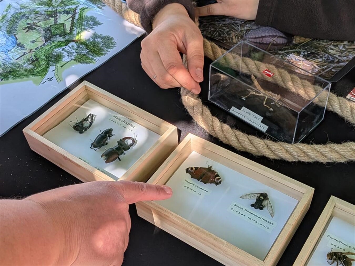 "Herbstmarkt im Tiergarten Kleve mit Mitmachaktionen und herbstlicher Dekoration"