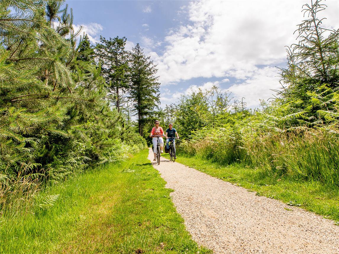 Zahlreiche Radrouten führen direkt hinter der Grenze durch die Gemeinde Oude IJsselstreek.