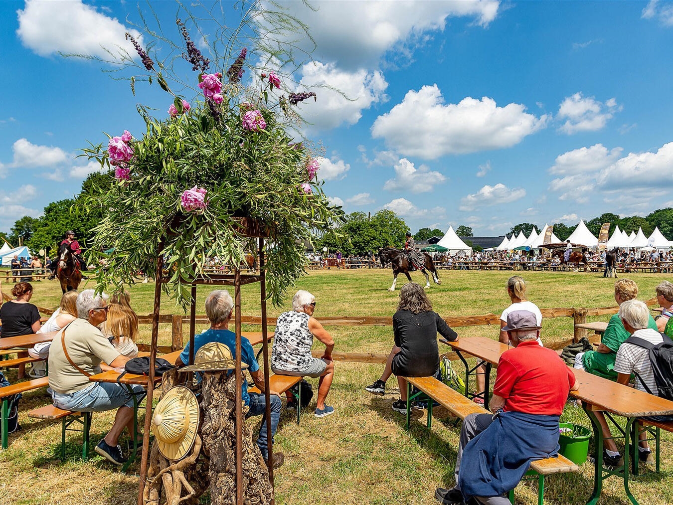 "Verschiedene Tiere auf der Farm & Country Fair bieten Erlebnisse für Kinder und Erwachsene"