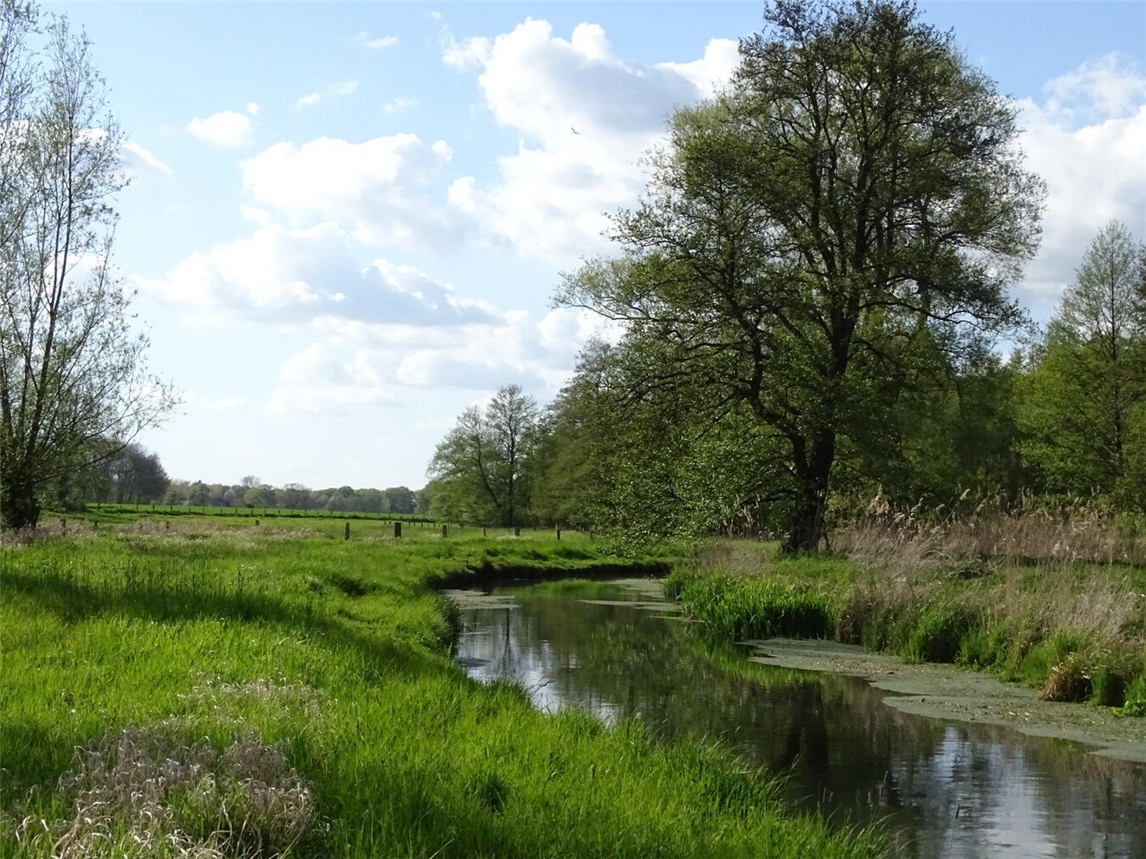 Ziel des Projektes ist es, dich fit zu machen für deinen Beitrag zu einer struktur- und artenreichen Landschaft im Sinne des Naturschutzes und zum Erhalt der historischen Kulturlandschaft.Foto Aue der Issumer Fleuth