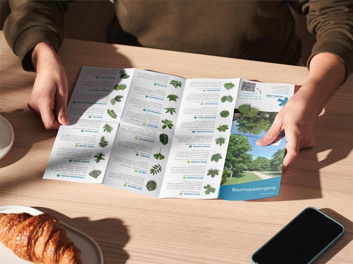 Zu 40 markierten Bäumen führt der Baumspaziergang.Foto: © Wallfahrtsstadt Kevelaer