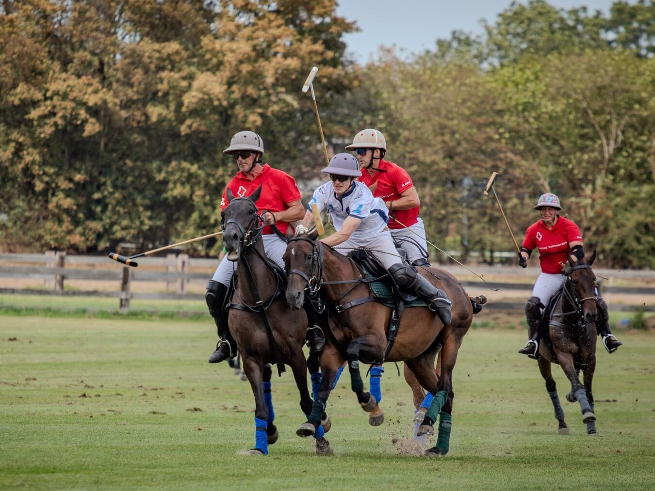 "Spannendes Polo-Spiel beim Renntag mit Pferden und Spielern in Aktion"