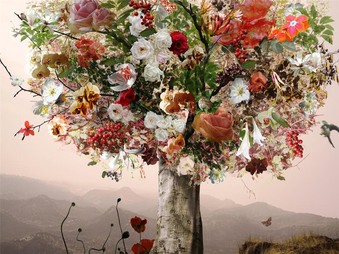 Zu sehen ist auch der „Traumbaum“. Foto: Margot Berghaus